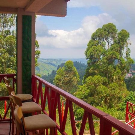 Hotel Natura Cocora Salento Exteriör bild